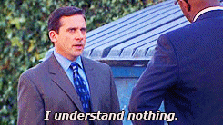 Image result for i understand nothing michael scott gif