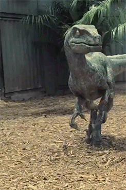 Velociraptor Awareness - Dinosaurs Forum