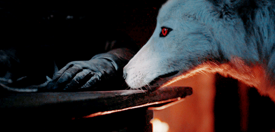 Image result for ghost gif game of thrones