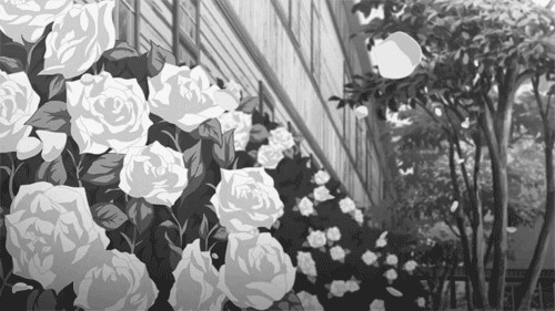 Sieste dans un champ de fleurs [PV Azami]  Tumblr_o357ca4ZT11upz1d5o1_500