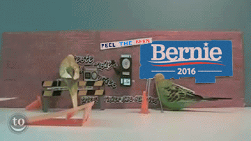 VOTE JILL STEIN (Old thread about BERNIE SANDERS -- U.S. Presidential Election 2016 Tumblr_o4qhdqLnAW1r81l7do1_400