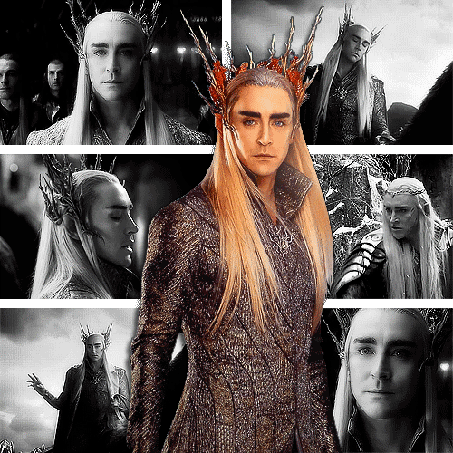 Cinematic Symphonies of our great Elvenking Thranduil  Tumblr_nyxvlvihwT1uch9wyo1_500