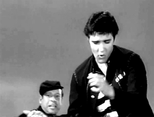 Elvis em fotos, gifs e frases | Soul Retro