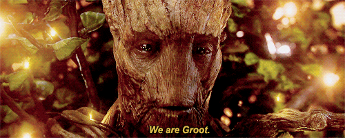 Je s'appelle Groot. (Amber) Tumblr_nhcnbtdpoc1rc1rwwo1_500
