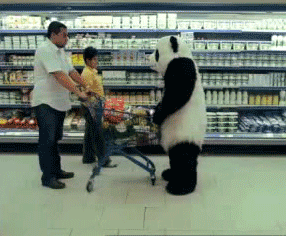 I'm a panda, deal with it ~ Kaleb Woodbane Tumblr_muh2tktUaQ1siir8do4_400