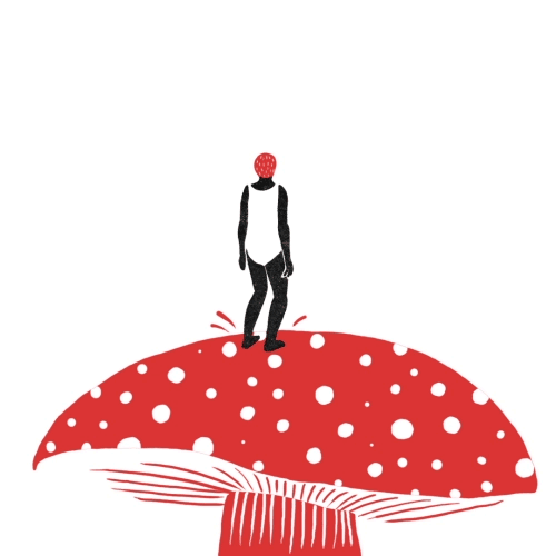 minliunyc:

GIF Diary 061615 #gif#animation #daily #dailyanimation#the100dayproject #doodle #design #art#mushroom
