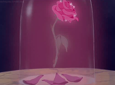 Une rose pour ? Tumblr_lt3jicO0aD1qkedbio1_500