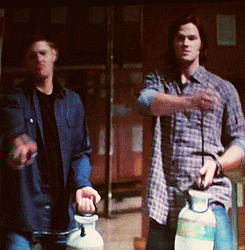 SPNG Tags: Sam / Dean / Happy Dancing and Flailing / because cleaning products kill Leviathans/ apparently
Looking for a particular Supernatural reaction gif? This blog organizes them so you don’t have to spend hours hunting them down.